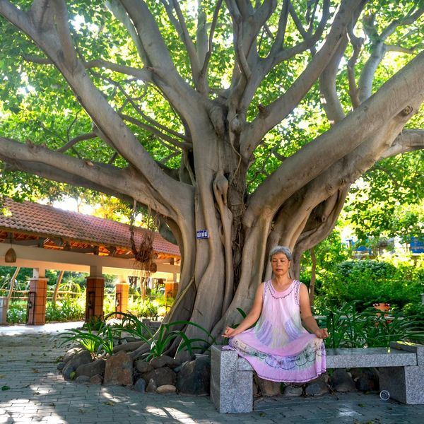 Smiling person stretching outdoors in a green park at sunrise.